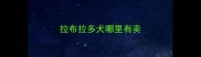 拉布拉多犬哪里有卖