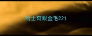 哈士奇跟金毛22