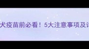 狗狗打狂犬疫苗前必看5大注意事项及详细流程