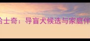 蓝眼睛烟灰色哈士奇导盲犬候选与家庭伴侣的完美结合