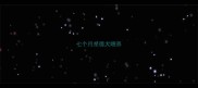 七个月东德犬喂养