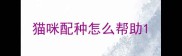 猫咪配种怎么帮助