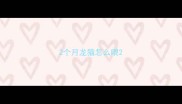 2个月龙猫怎么喂