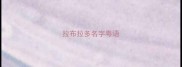 拉布拉多名字粤语