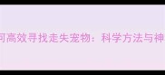 宠物通灵师教你如何高效寻找走失宠物科学方法与神秘力量的结合指南