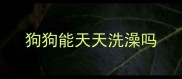 狗狗能天天洗澡吗