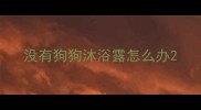 没有狗狗沐浴露怎么办