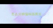 怎么分辨猫咪肠胃炎