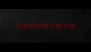 云南海棠哈士奇犬舍