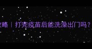 宠物疫苗时间表全攻略打完疫苗后能洗澡出门吗幼宠护理必看指南