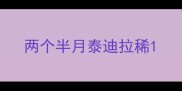 两个半月泰迪拉稀
