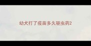 幼犬打了疫苗多久驱虫药