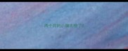 两个月的小猫太瘦了