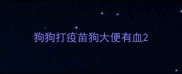 狗狗打疫苗狗大便有血