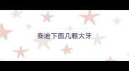 泰迪下面几颗大牙