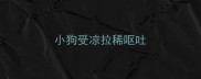 小狗受凉拉稀呕吐
