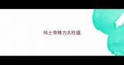 哈士奇精力太旺盛