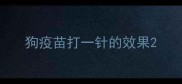 狗疫苗打一针的效果