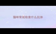 猫咪常规检查什么抗体