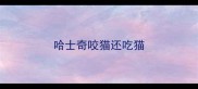 哈士奇咬猫还吃猫