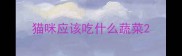 猫咪应该吃什么蔬菜