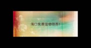 海口免费宠物领养