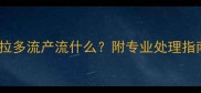 惊心经历拉布拉多流产流什么附专业处理指南新手必看