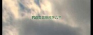 狗疫苗四联预防几年