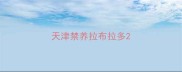 天津禁养拉布拉多