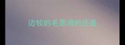 边牧的毛是滑的还是