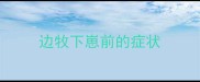 边牧下崽前的症状