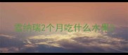 雪纳瑞2个月吃什么水果