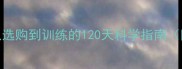 Poodle犬饲养全攻略从选购到训练的120天科学指南附品种特性和养护要点