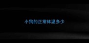 小狗的正常体温多少