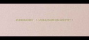 萨摩耶换毛期全3-6月换毛高峰期如何科学护理