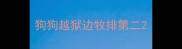 狗狗越狱边牧排第二