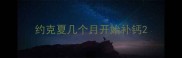 约克夏几个月开始补钙