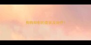 狗狗抑郁的症状及治疗