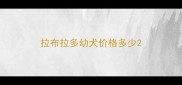 拉布拉多幼犬价格多少