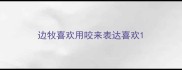 边牧喜欢用咬来表达喜欢