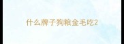 什么牌子狗粮金毛吃