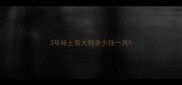 2年哈士奇大狗多少钱一只