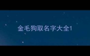 金毛狗取名字大全