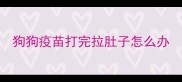 狗狗疫苗打完拉肚子怎么办