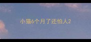 小猫6个月了还怕人