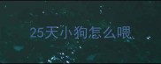 25天小狗怎么喂