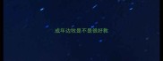 成年边牧是不是很好教