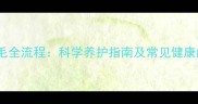 金毛犬换毛全流程科学养护指南及常见健康问题应对