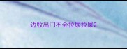 边牧出门不会拉尿拉屎