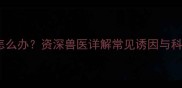 哈士奇抽搐怎么办资深兽医详解常见诱因与科学应对方案